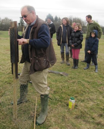 The English Apple Man lends a hand banging in the stakes